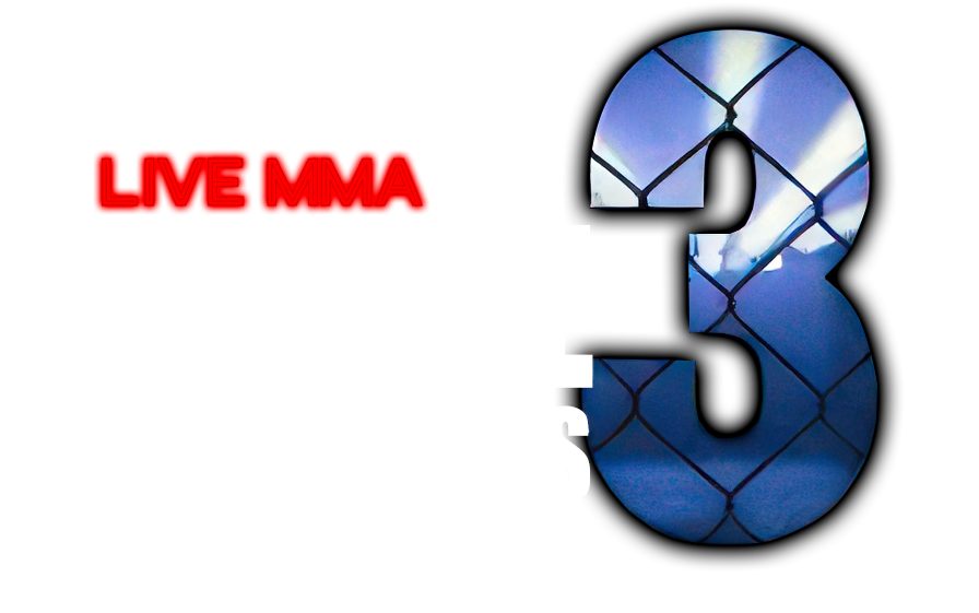 fight-series-3